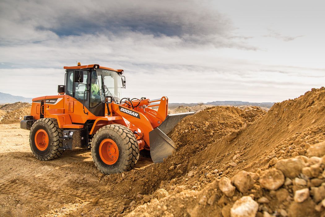 DOOSAN DL250 - 3.5YD
